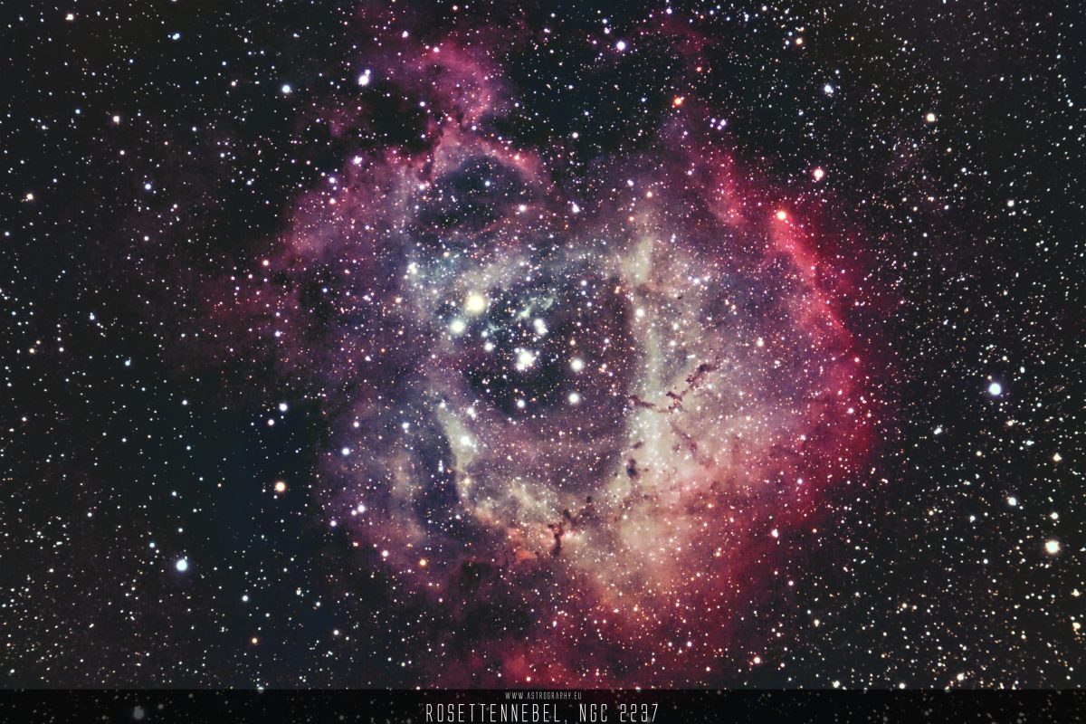 NGC 2237, Rosettennebel