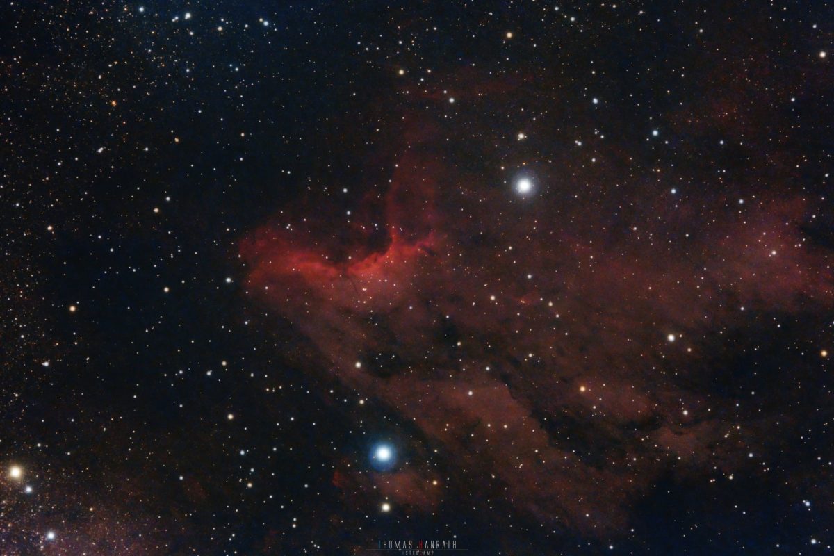 Pelican Nebula (IC 5070), Emission Nebula, Astrophotography