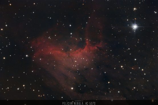 Astrophoto: Pelican Nebula - IC 5070 - 09/22