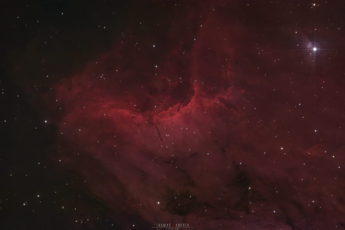 Pelican Nebula (IC 5070), Emission Nebula, Astrophotography