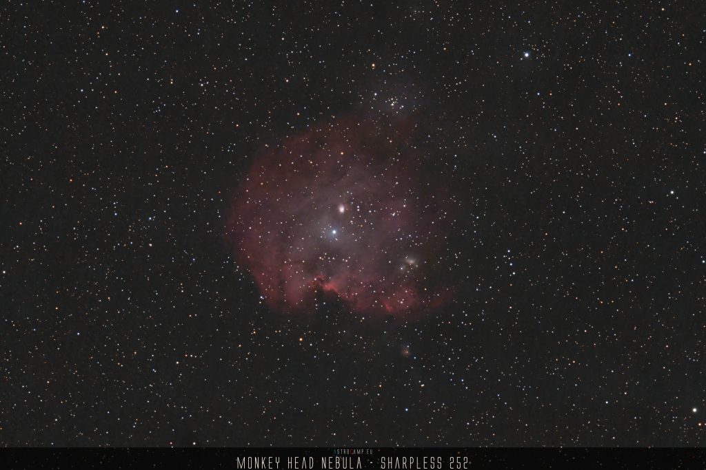 Monkey Head Nebula - Sharpless 252 - Sh2-252 - NGC 2174