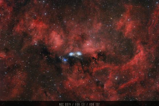 NGC 6914, VdB 131, VdB 132