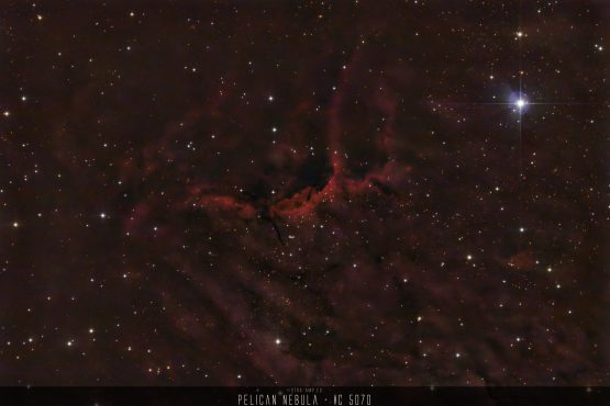 Pelican Nebula - IC 5070