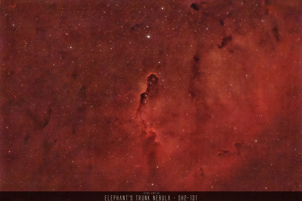 Elephant's Trunk Nebula -Sharpless 131 - Sh2-131