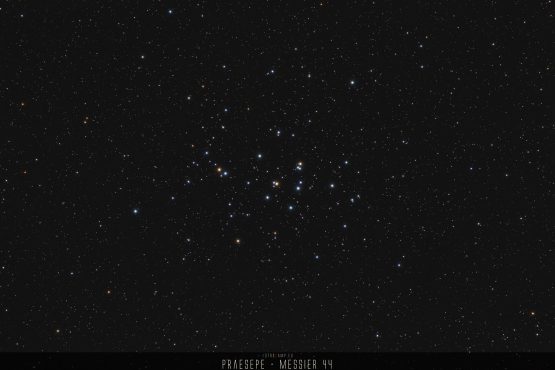 Offener Sternhaufen Praesepe - M44 - Messier 44 - Melotte 88 - NGC 2632