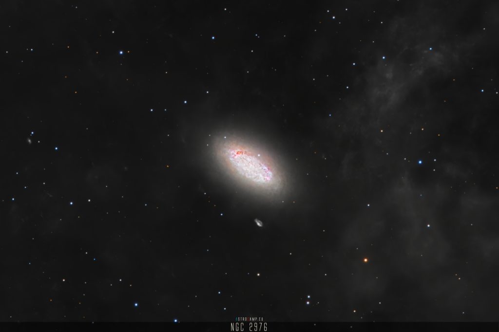 NGC 2976