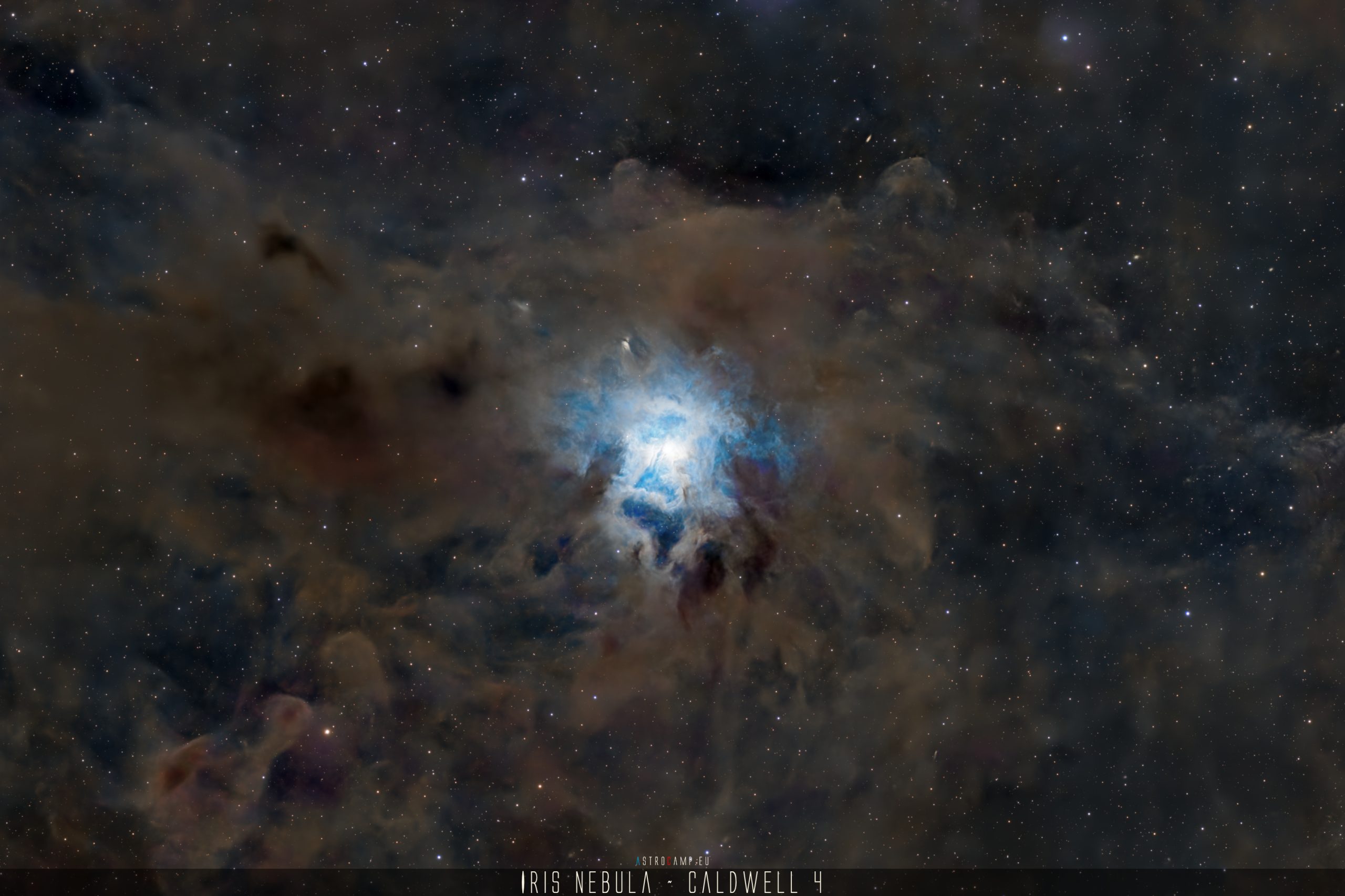 Caldwell 4 - Iris Nebula